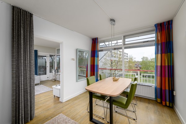 Buizerd 41 Heerenveen-8.jpg 7