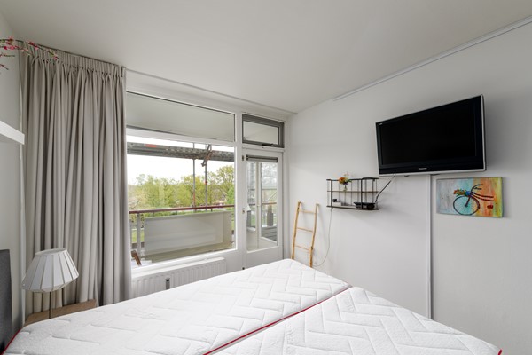 Buizerd 41 Heerenveen-11.jpg 9