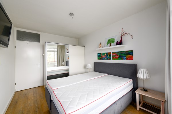 Buizerd 41 Heerenveen-12.jpg 10