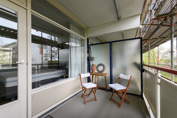 Buizerd 41 Heerenveen-13.jpg 11