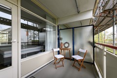 Buizerd 41 Heerenveen-13.jpg