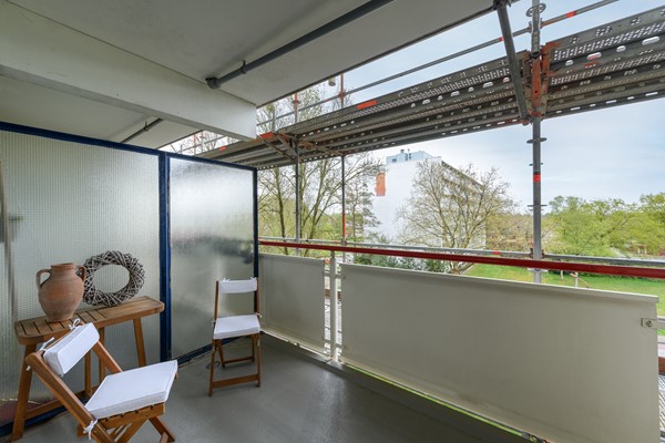 Buizerd 41 Heerenveen-14.jpg 12