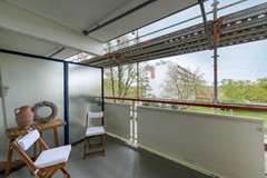 Buizerd 41 Heerenveen-14.jpg