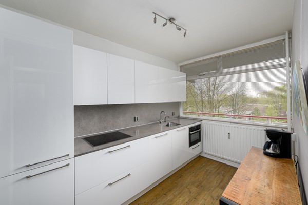 Buizerd 41 Heerenveen-16.jpg 3