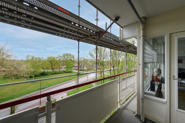 Buizerd 41 Heerenveen-15.jpg 13