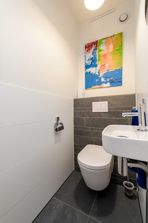 Buizerd 41 Heerenveen-22.jpg 18