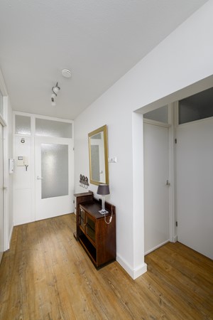 Buizerd 41 Heerenveen-21.jpg 17