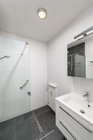 Buizerd 41 Heerenveen-23.jpg 19