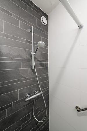 Buizerd 41 Heerenveen-24.jpg 20