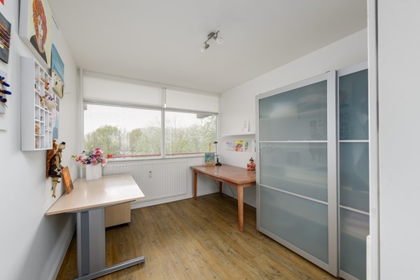 Buizerd 41 Heerenveen-27.jpg 22