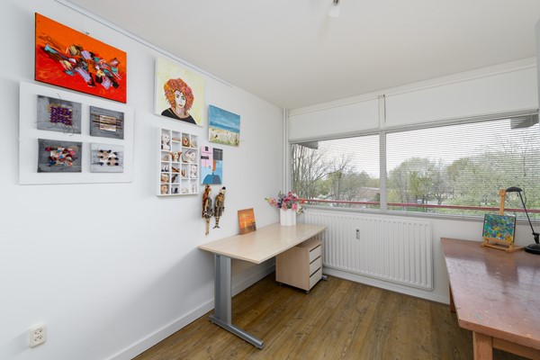 Buizerd 41 Heerenveen-28.jpg 23