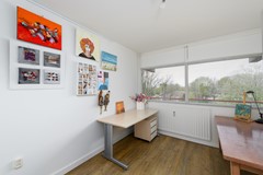 Buizerd 41 Heerenveen-28.jpg