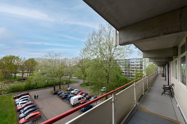 Buizerd 41 Heerenveen-30.jpg 25