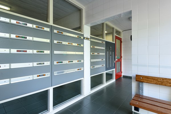 Buizerd 41 Heerenveen-35.jpg 26