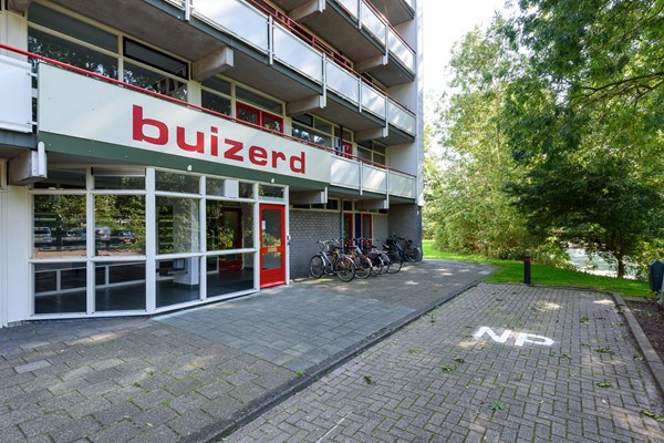 Buizerd 41 Heerenveen-34.jpg 27