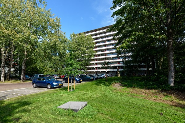 Buizerd 41 Heerenveen-32.jpg 28