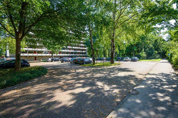 Buizerd 41 Heerenveen-33.jpg 29