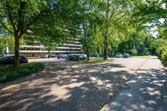 Buizerd 41 Heerenveen-33.jpg