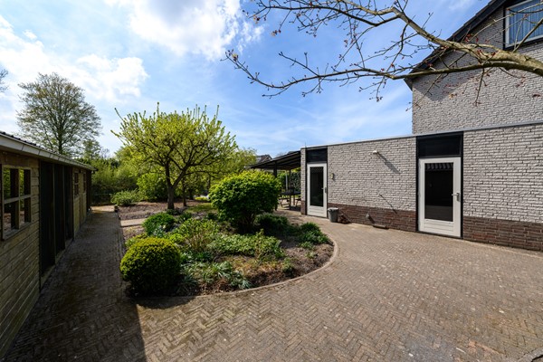 De Tsjotter 20 Joure-50.jpg 40