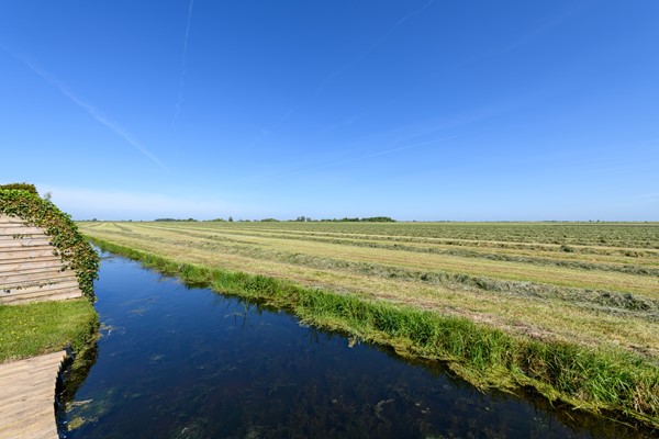 Buorren 50 Terkaple-56.jpg 52