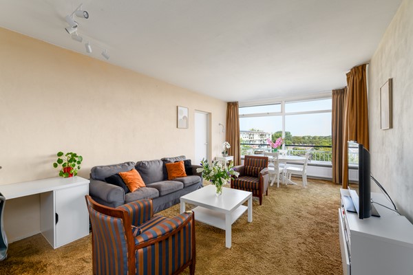 Buizerd 71 Heerenveen-5.jpg 2