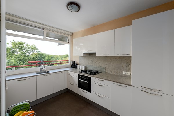 Buizerd 71 Heerenveen-16.jpg 3