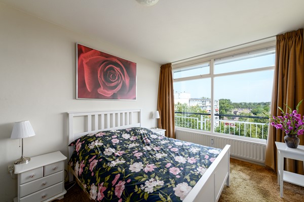 Buizerd 71 Heerenveen-10.jpg 6