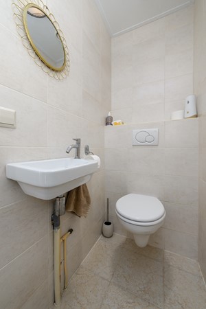 Buizerd 71 Heerenveen-15.jpg 14