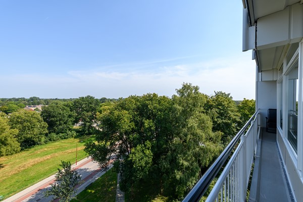 Buizerd 71 Heerenveen-31.jpg 16