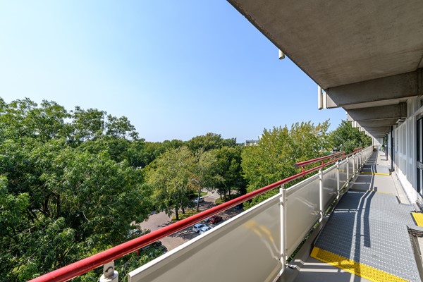 Buizerd 71 Heerenveen-32.jpg 17