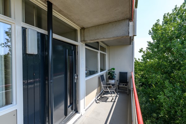 Buizerd 71 Heerenveen-33.jpg 19