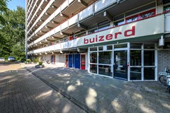 Buizerd 71 Heerenveen-34.jpg