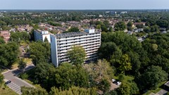 Buizerd 71 Heerenveen-2.jpg