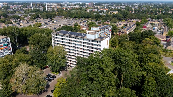 Buizerd 71 Heerenveen-37.jpg 23