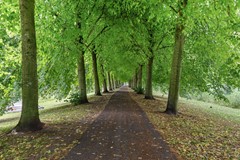 Bernhardlaan 23_02.jpg