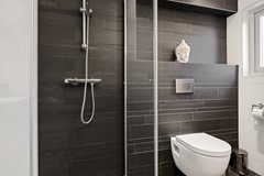 De Tribune 10-24.jpg