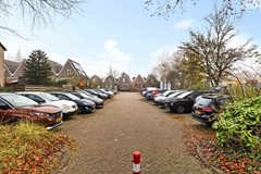 De Tribune 10-05.jpg