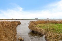 Leeuwetand 77-03.jpg