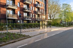 De werf 50-06.jpg
