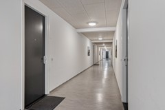 De werf 50-18.jpg