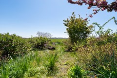 Peerdecamp 40-36.jpg