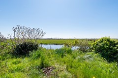 Peerdecamp 40-37.jpg