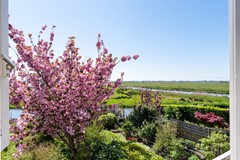 Peerdecamp 40-31.jpg