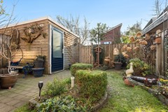 Achtertuin 04.jpg