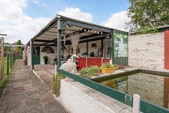 Achtertuin_04.jpg