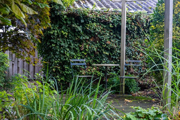 Medium property photo - Peppellaan 19, 7611 BB Aadorp