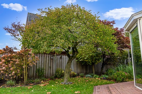 Medium property photo - Peppellaan 19, 7611 BB Aadorp