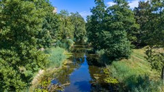 DJI_20260804144819_0222_D.jpg