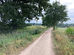 Verkocht: "Lauwe grond" (geen bouwgrond!)