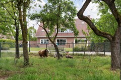 For sale: Klaterspeelweg 1, 6026 PW Maarheeze